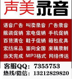 聲畫俱佳，數(shù)字時(shí)代的高效觸達(dá) 數(shù)碼相機(jī)廣告錄音與數(shù)字廣告設(shè)計(jì)全攻略